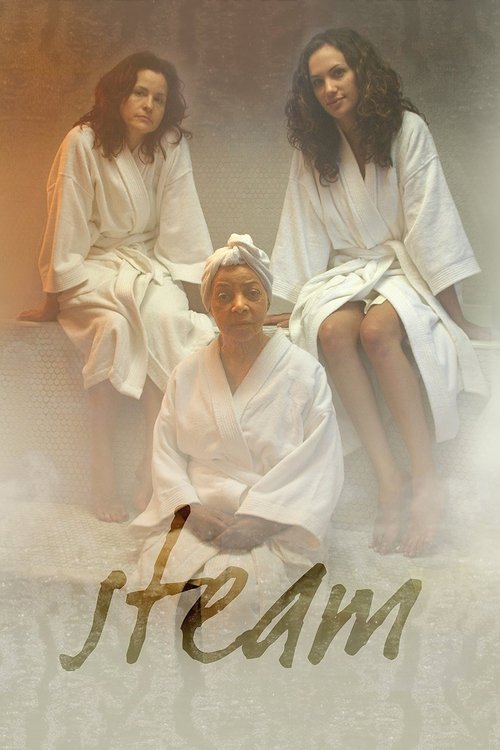 Steam (2007) poster