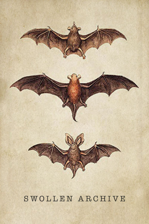 Swollen Archive (2008) poster