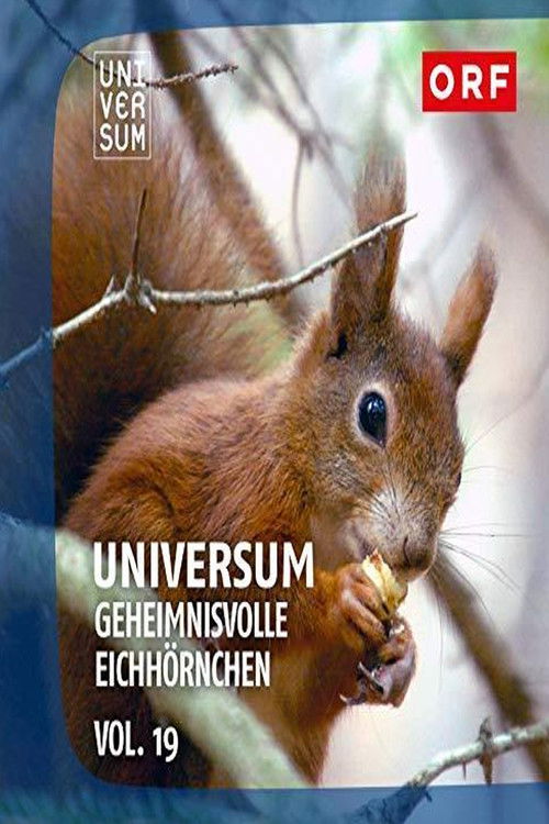Geheimnisvolle Eichhörnchen (2018) poster