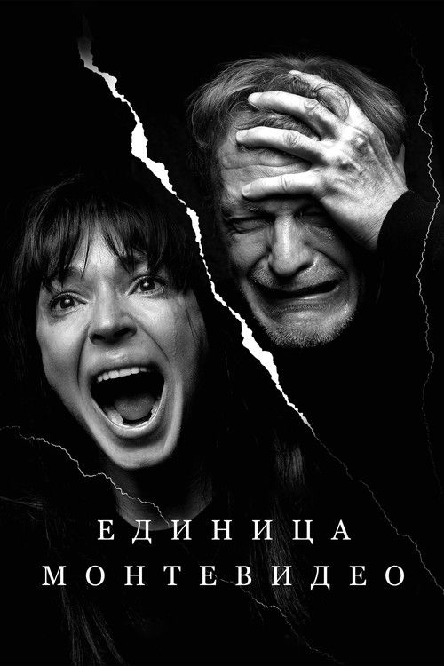 Единица Монтевидео (2023) poster