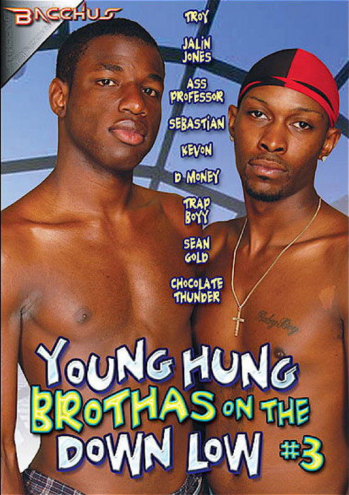 Young Hung Brothas on the Down Low 3 (2011) poster