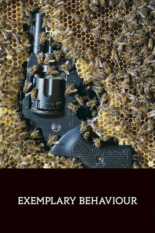 Exemplary Behaviour (2019) poster