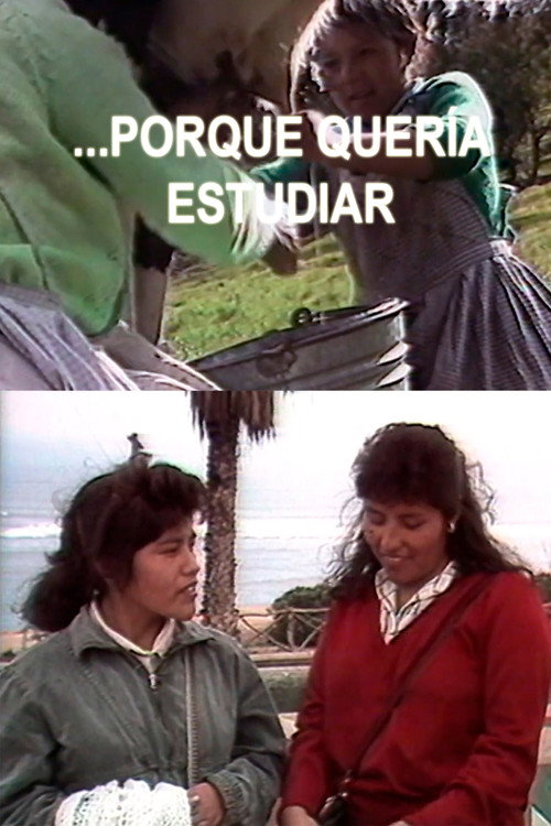 Porque Quería Estudiar (1989) poster