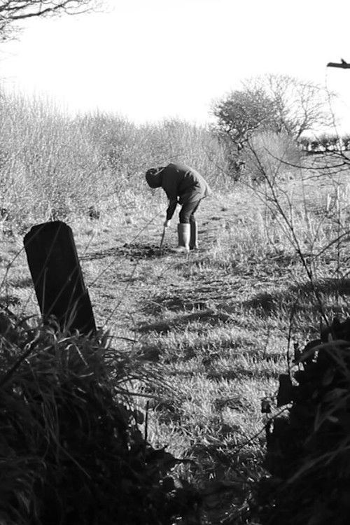 The Dig (2020) poster