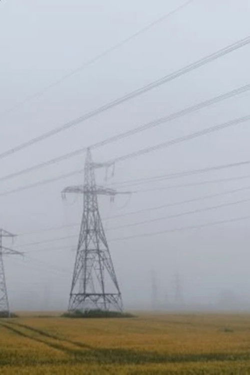 Vieraslaji (2024) poster