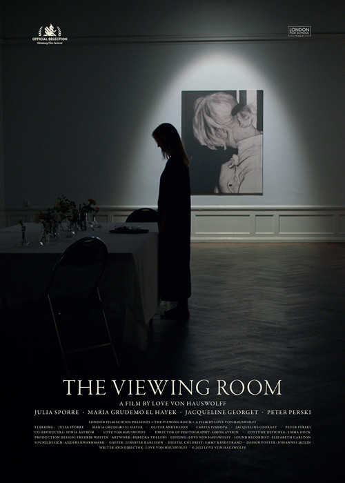The Viewing Room (2022) poster