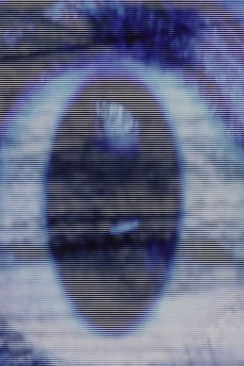 Hollywood Decollage (2004) poster