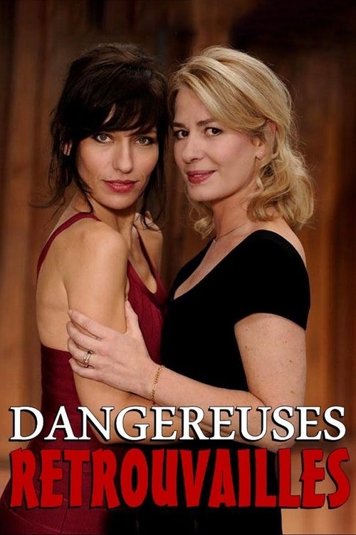 Dangereuses retrouvailles (2013) poster