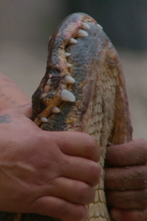 Halpate (2020) poster