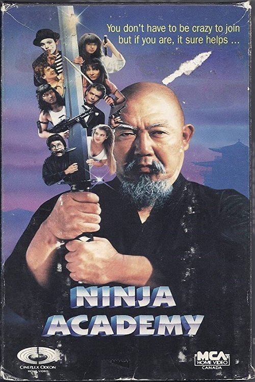 Ninja Academy (1989) poster
