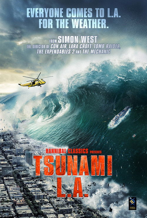 Tsunami LA poster
