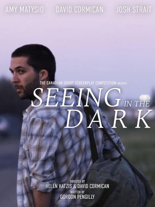 Seeing in the Dark (2011) poster