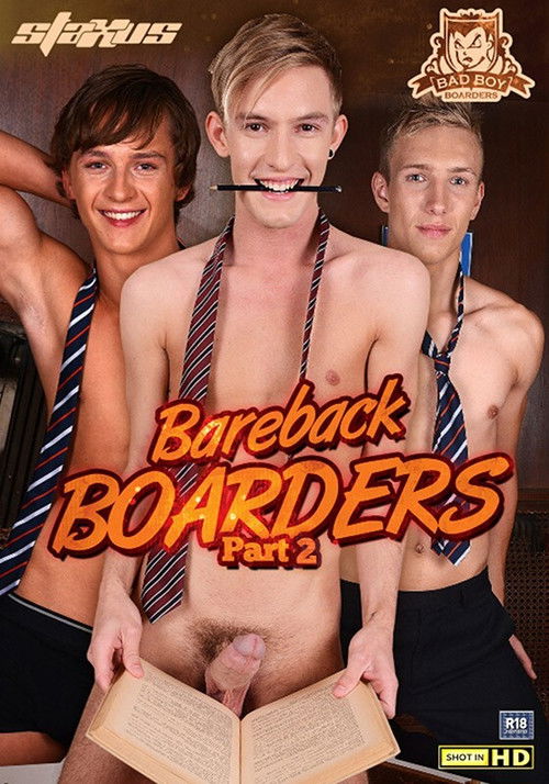Bareback Boarders 2 (2013) poster
