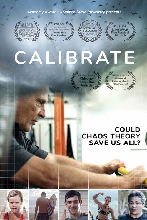 Calibrate (2021) poster