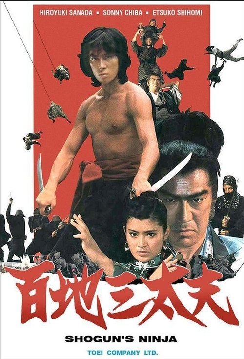 忍者武芸帖 百地三太夫 (1980) poster