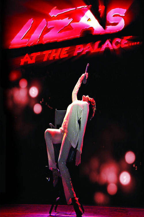 Liza Minnelli: Liza's at The Palace (2009) poster