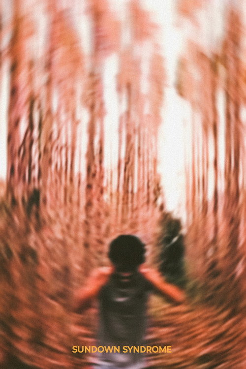Síndrome do Entardecer (2026) poster
