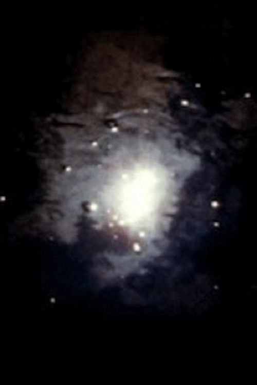 The Ark (2006) poster