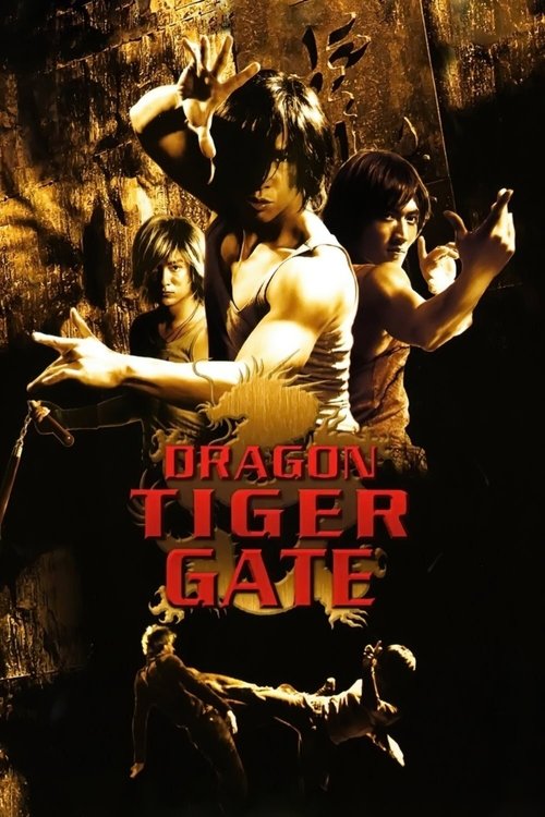 Dragon Tiger Gate (2006) poster