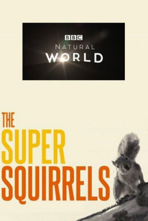 The Super Squirrels (2018) poster