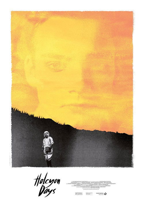 Schwarzer Regen (2016) poster