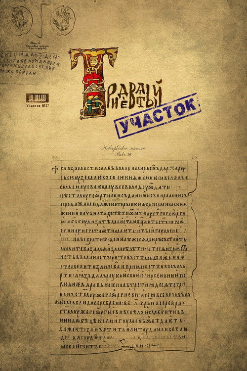 Тридевятый участок (2009) poster