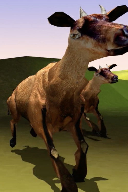 Le Corso (2008) poster