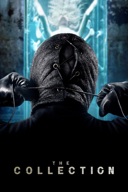 Koleksiyoncu 2 (2012) poster