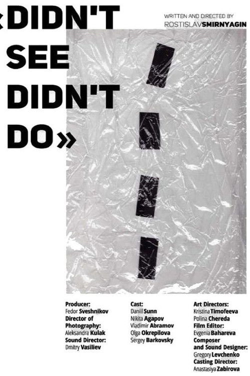 Didn't See Didn't Do (2015) poster