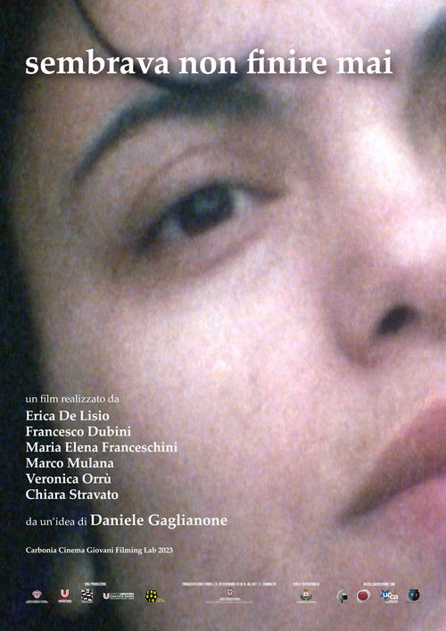 Sembrava non finire mai (2024) poster