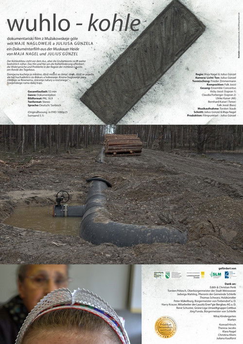 wuhlo – kohle (2024) poster