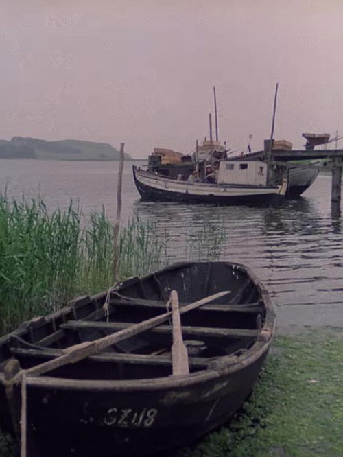 Die drei anderen Jahreszeiten (1980) poster