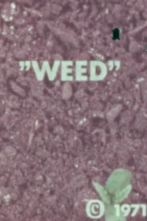 WEED (1971) poster