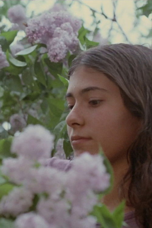 A Little Summermusik (1972) poster