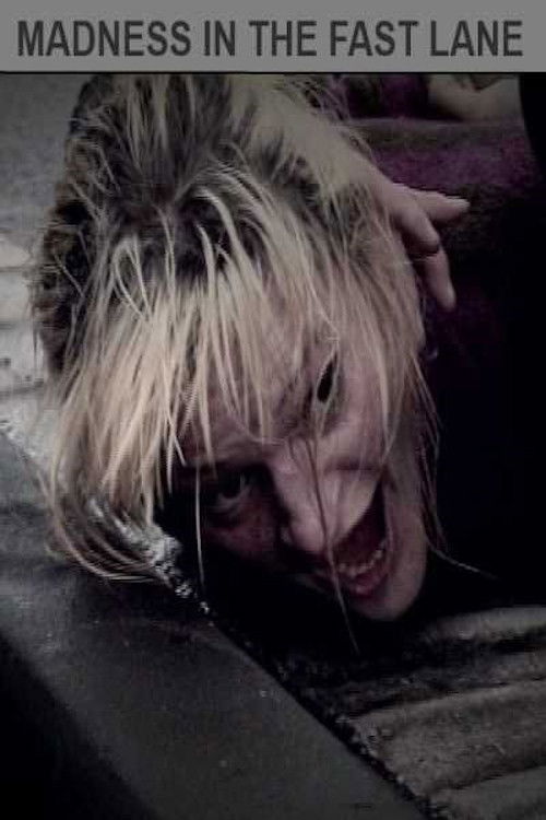 Madness in the Fast Lane (2010) poster