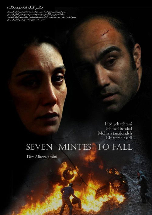 Seven Minutes to Fall (2010) poster