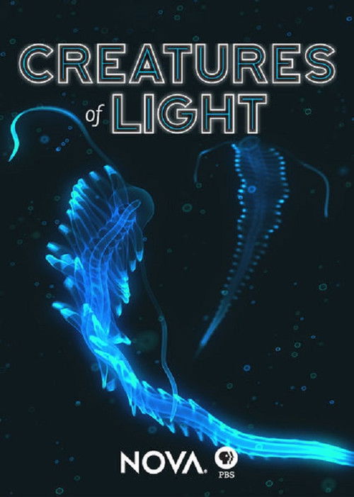 Creatures of Light (2015) poster