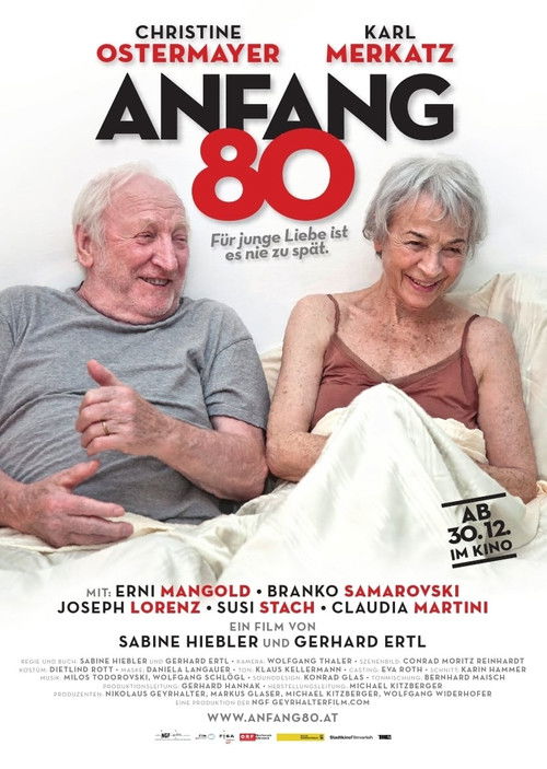 Anfang 80 (2011) poster
