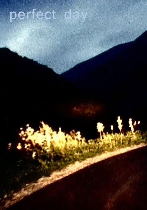 Perfect Day (2008) poster