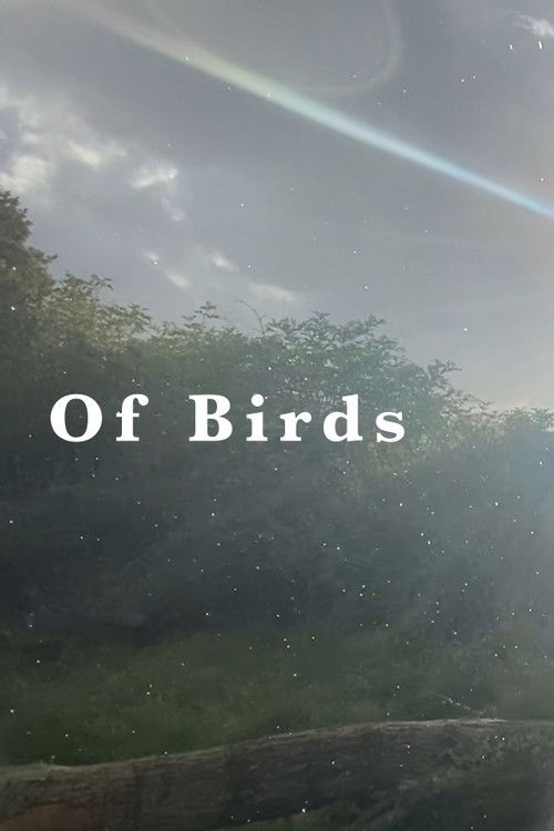 Of Birds poster