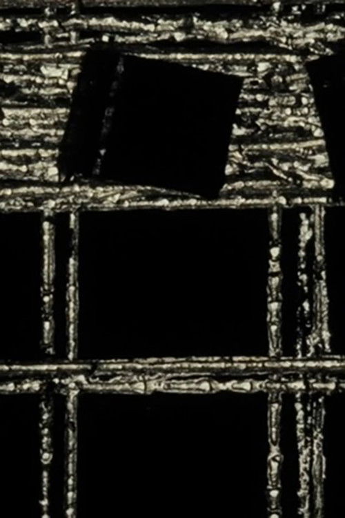 A Black Screen Too (2024) poster