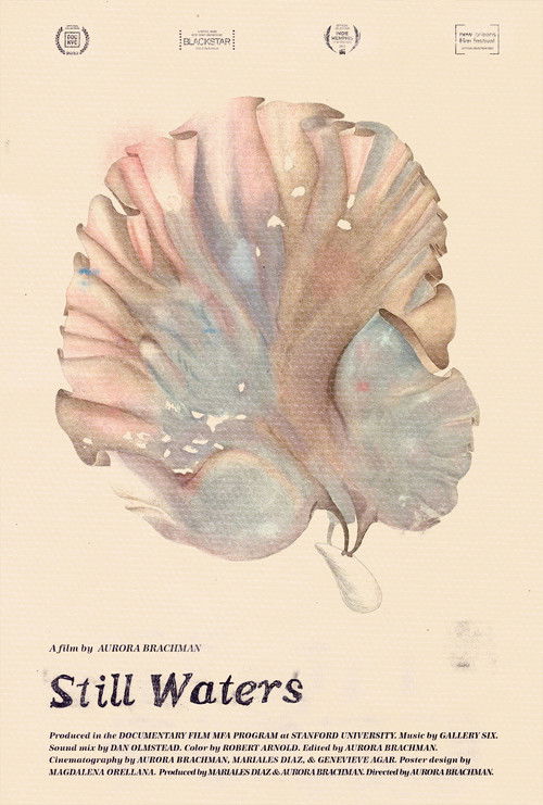 Still Waters (2022) poster