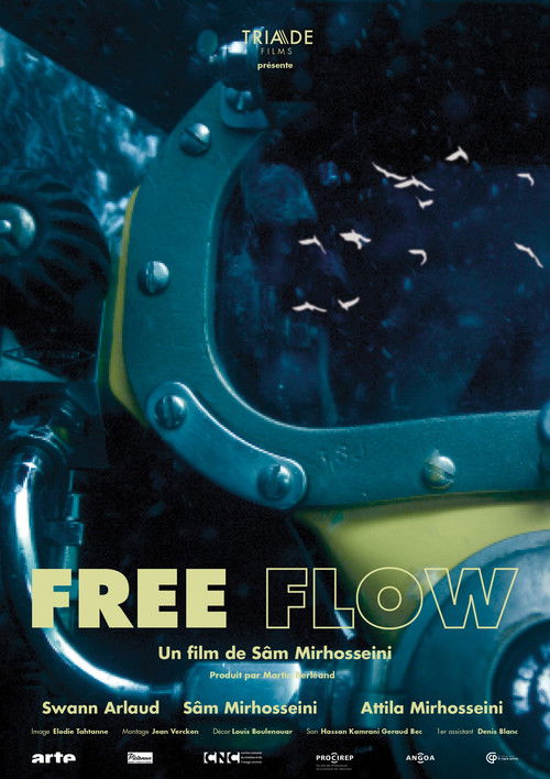 Free Flow (2020) poster