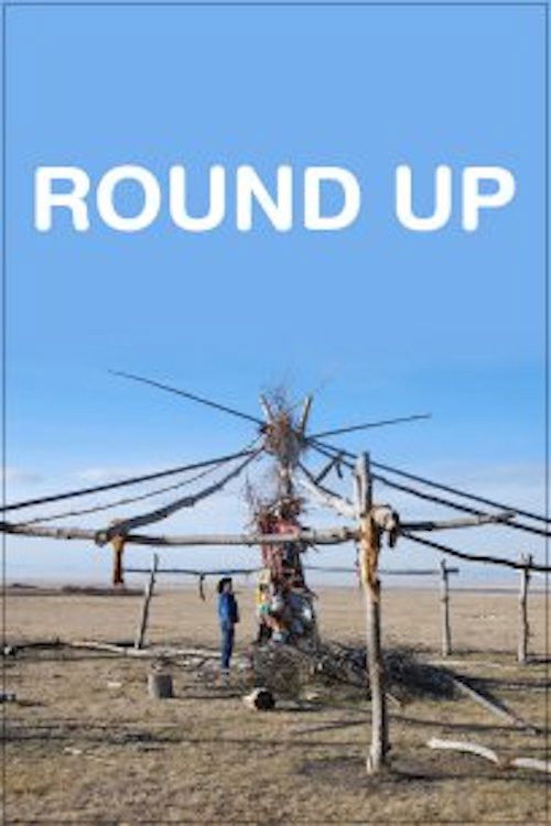 Round Up (2010) poster