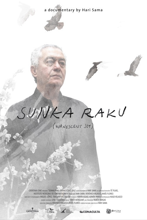 Sunka Raku (Alegría Evanescente) (2015) poster