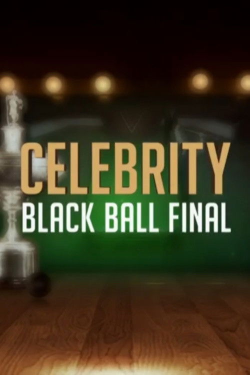 Celebrity Black Ball Final with Steve Davis (2015) poster