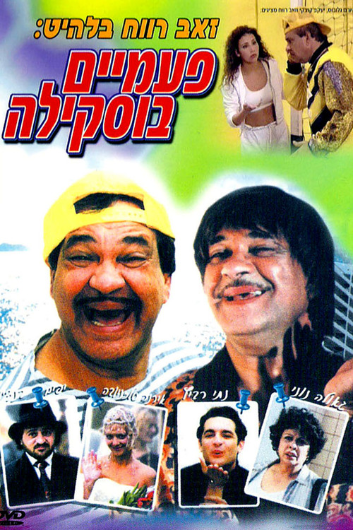 Buskila Twins (1998) poster