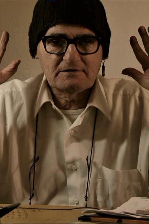 Il pazzo di Palermo (2025) poster