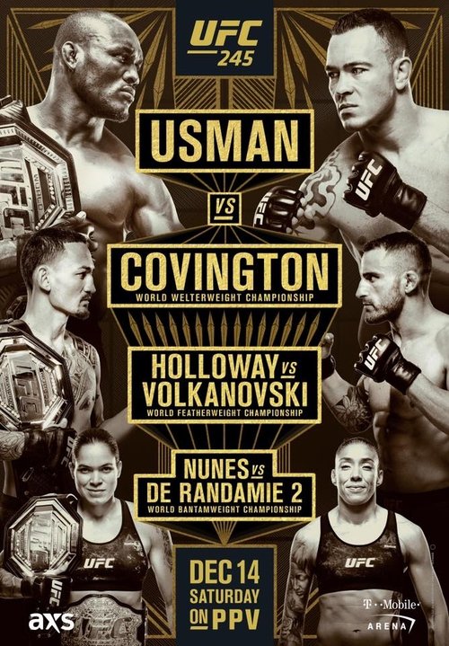 UFC 245: Usman vs. Covington (2019) poster