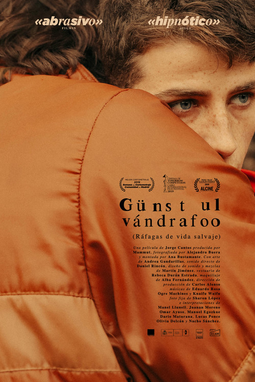 Gusts of Wild Life (2019) poster